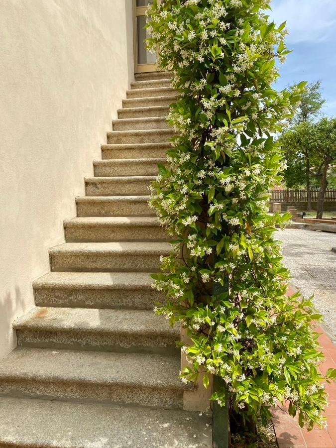 Ferienwohnung Podere Il Ritorno Portoferraio Exterior foto